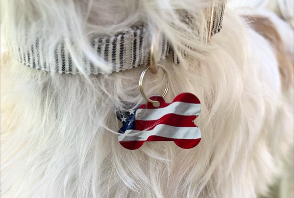 Fourth of July Pet Safety Tips
