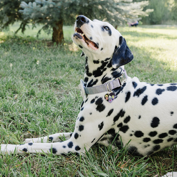 Disney Villains Trio Large Heart Pet ID Tag