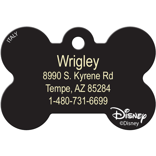 Feeling Goofy, Disney Pet ID Tag