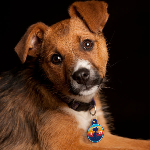 Peanuts Space Rainbow 1969 Large Circle Pet ID Tag