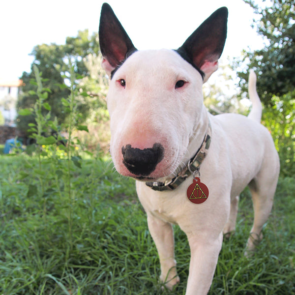 Large Circle Harry Potter Deathly Hallows, Pet ID Tag