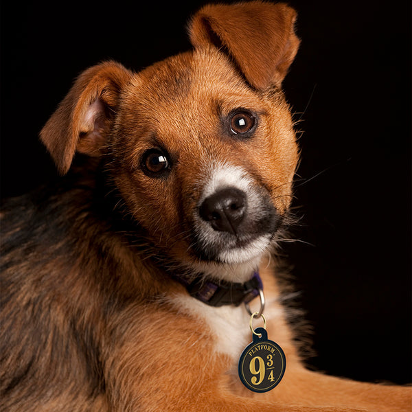 Large Circle Harry Potter Platform Nine and Three-Quarters, Pet ID Tag