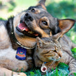 Load image into Gallery viewer, MARVEL Black Panther Wakanda Forever Pet ID Tag, Large Military