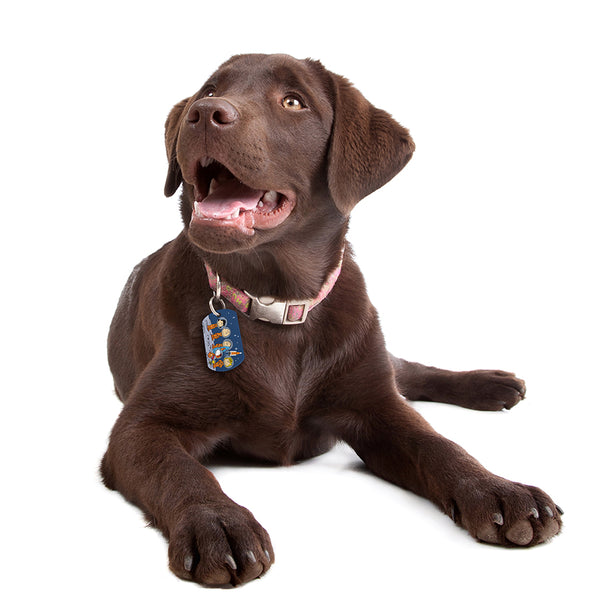 Peanuts Space Group, Military Shape Pet ID Tag