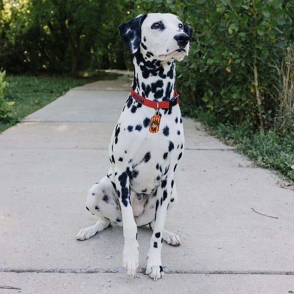 Large Military Harry Potter Expelliarmus, ID Tag