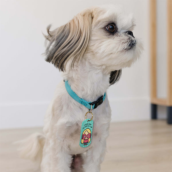 Large Military Harry Potter, "You're Just As Sane As I Am" Luna Lovegood ID Tag