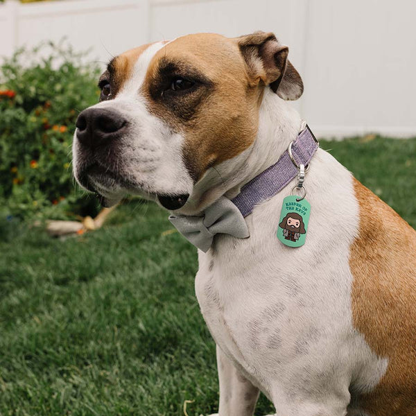 Large Military Harry Potter Rubeus Hagrid, Keeper of the Keys Pet ID Tag