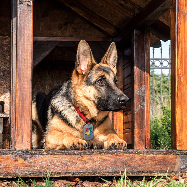 Large Military Harry Potter Hogwarts Crest, Pet ID Tag