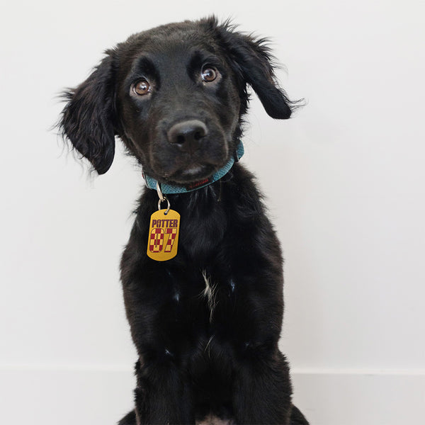 Large Military Harry Potter 07 Seeker Jersey, Pet ID Tag