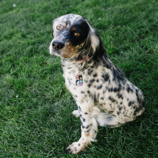 Disney Villains Large Military Pet ID Tag