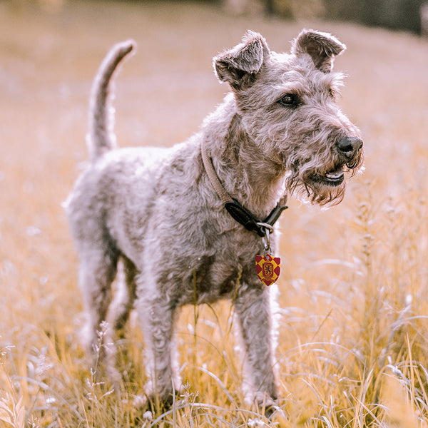 Large Shield Harry Potter Gryffindor Crest, Pet ID Tag
