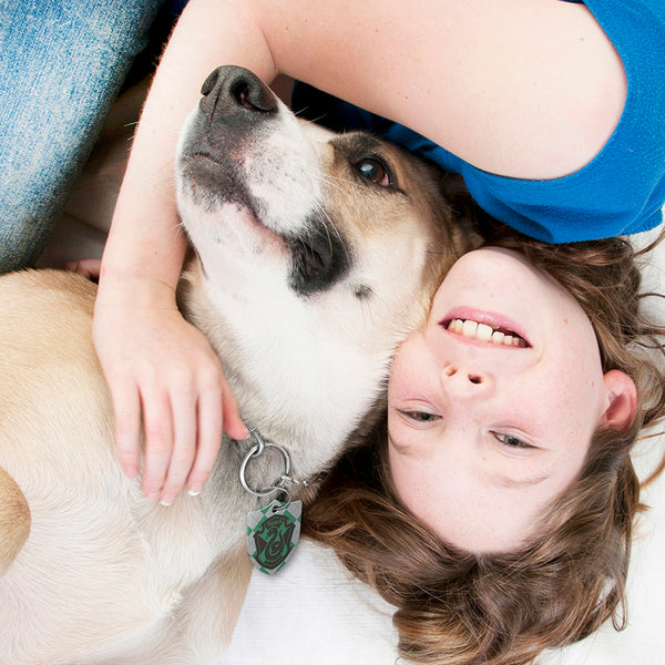 Large Shield Harry Potter Slytherin Crest, Pet ID Tag