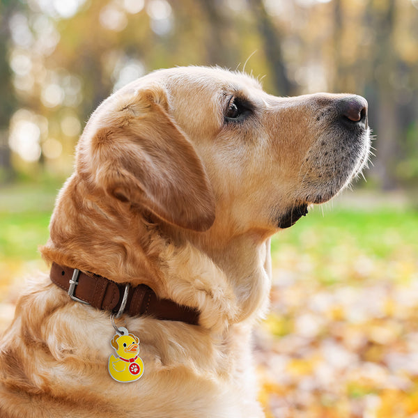 Rubber Duck Pet Tag, Puppy