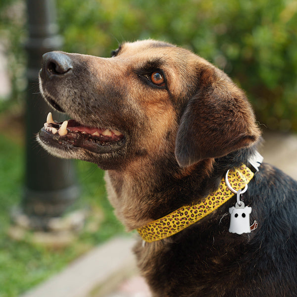 Little Boo Buddy Pet ID Tag