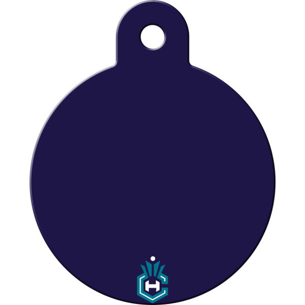 Charlotte Hornets Back