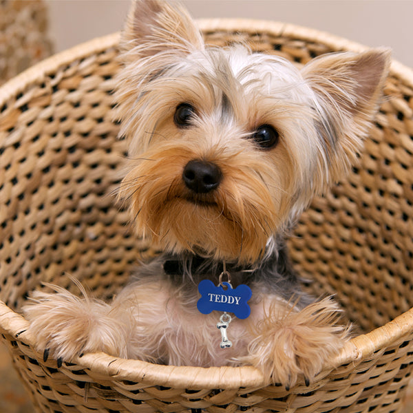 Dog Bone, Silver Tag Charm