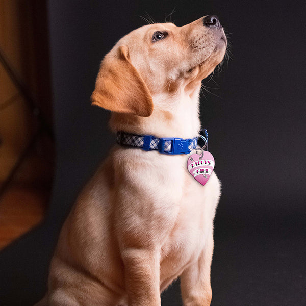 "Daddy's Girl" Tattoo Heart Pet ID Tag, Large