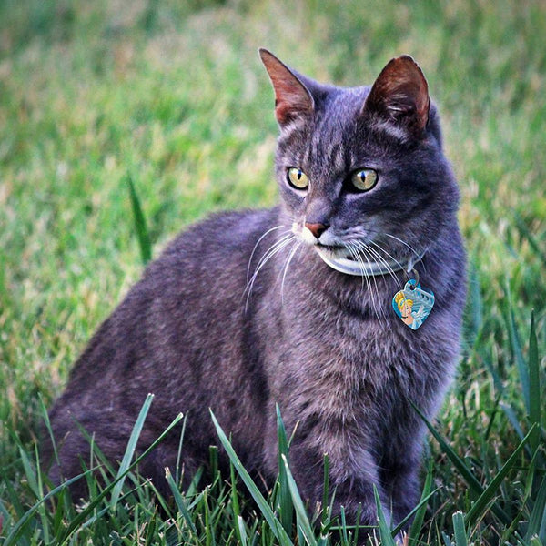 Cinderella Glitter Shoe, Small Heart Disney Princess Pet ID Tag