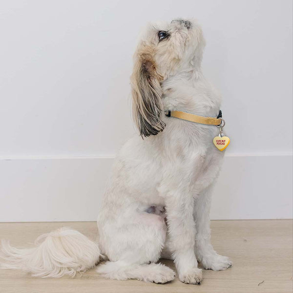 Sweetheart "Cute but Psycho" Pet ID Tag, Small Heart