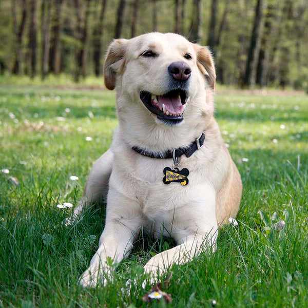 Medium Bone Harry Potter Hufflepuff Flag, Pet ID Tag