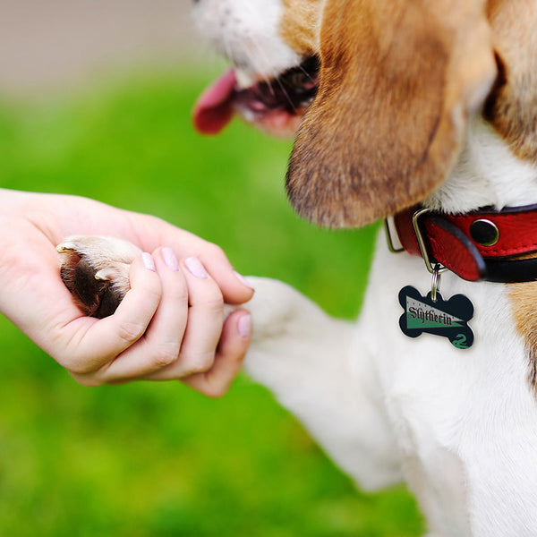 Medium Bone Harry Potter Slytherin Flag Pet ID Tag