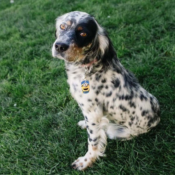 Minion Stuart Cyclops Military Pet ID Tag