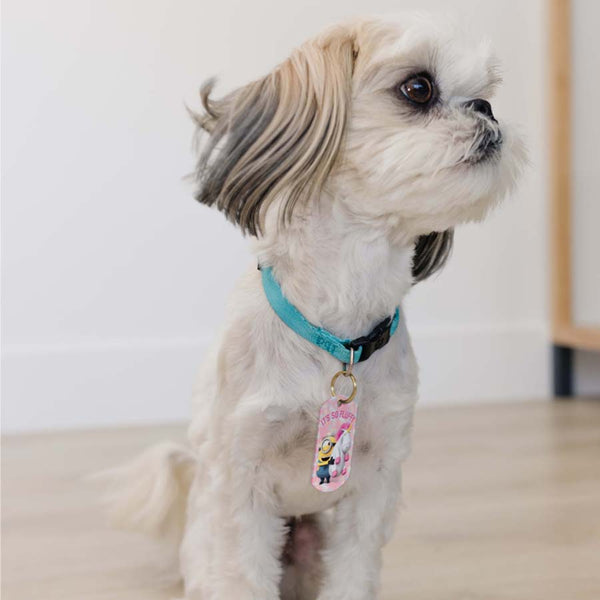 "It's So Fluffy" Minion Military Pet ID Tag