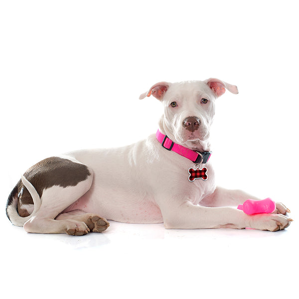 Red & Black Buffalo Check Medium Bone Raised Edge Pet ID Tag