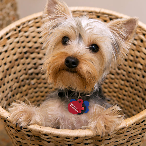 Small Flat Paw Silencer