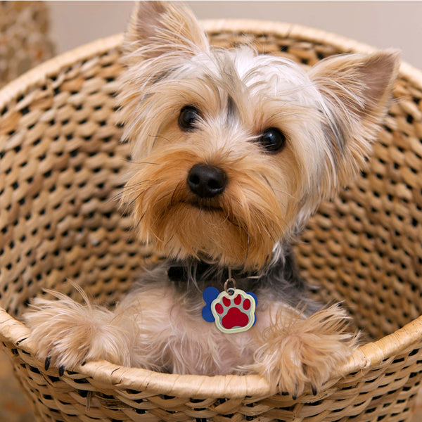 Large Glow in the Dark Paw Silencer