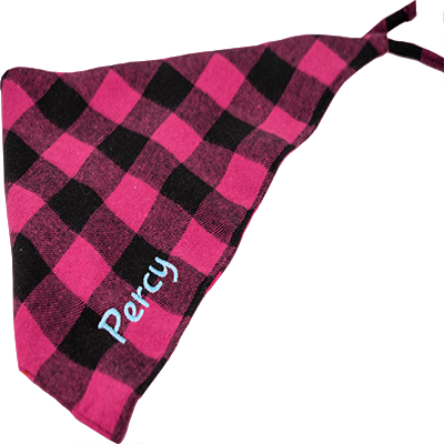 Plaid Pet Bandana