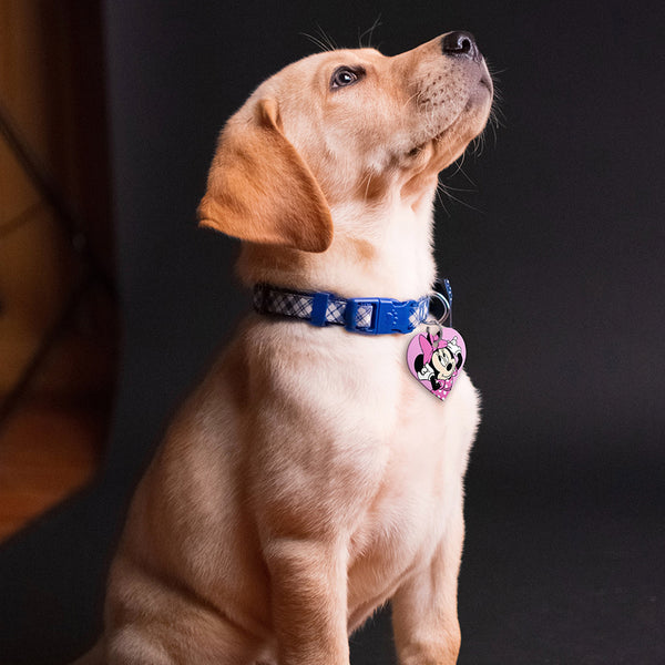 Minnie Mouse Bow Dog Tag, Large Heart