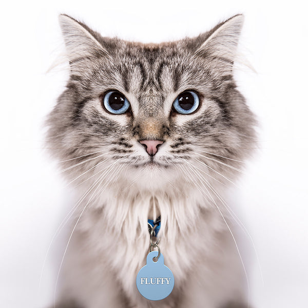 Small Circle Pet Tag