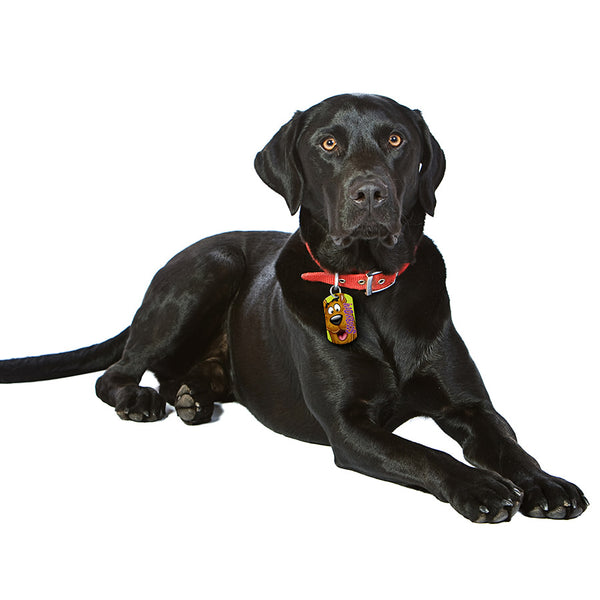 Scooby-Doo Lite Green Large Military Pet ID Tag