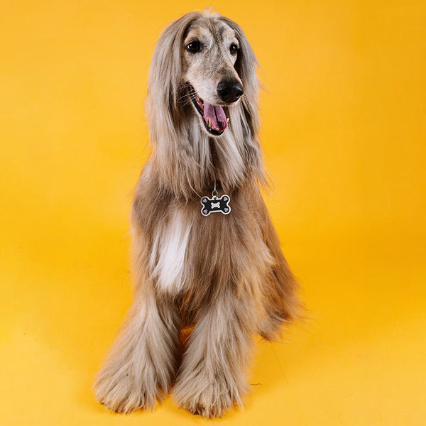 Medium Bone Shape Dog Tags with Silver Bone and Crystal Detail