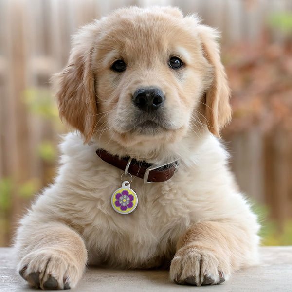 Large Dog Tag with Flower