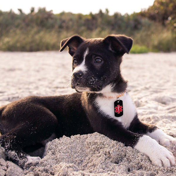 Medical ID Pet Tag, Small Military Shape