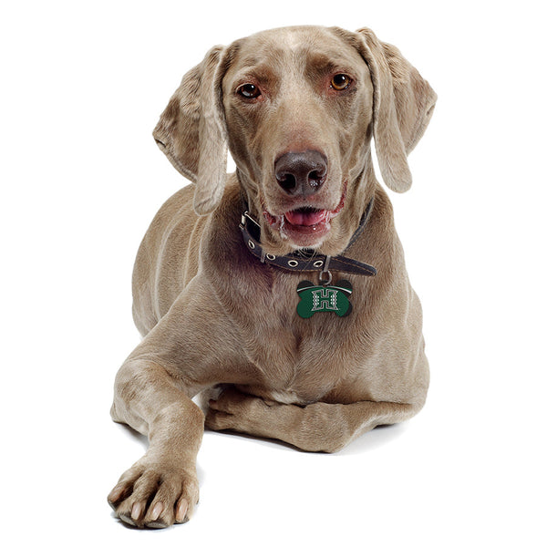 Hawaii Warriors Dog Tag, Medium Bone
