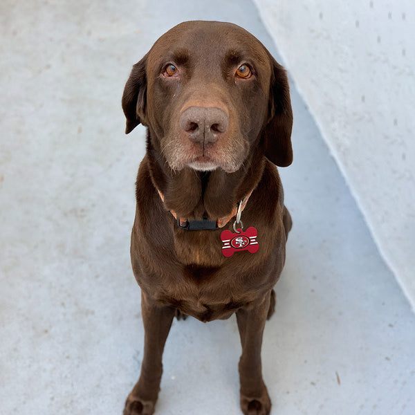 San Francisco 49ers Dog Tag, Medium Bone