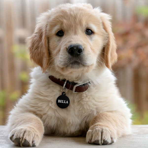 Large Circle Dog Tag