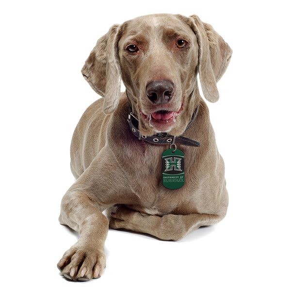 Hawaii Warriors Dog Tag, Military Shape