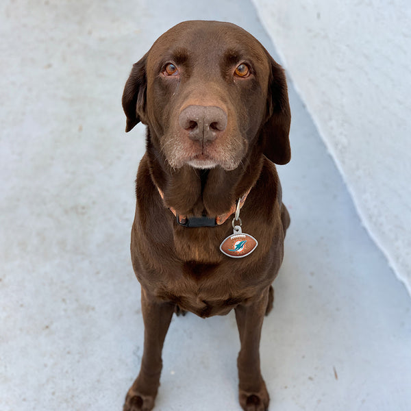 Miami Dolphins Dog Tag, Football Shape