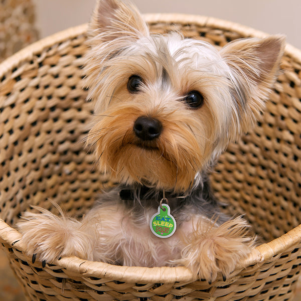 Eat Play Sleep Pet Tag, Small Circle