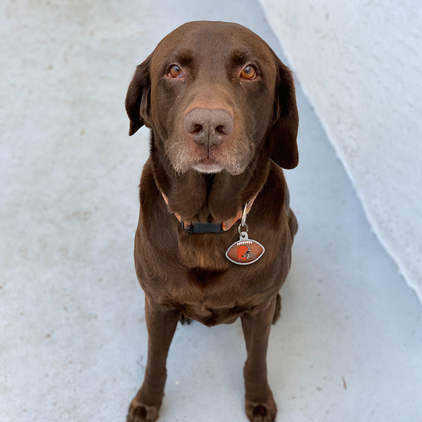 Cleveland Browns Dog Tag, Football Shape