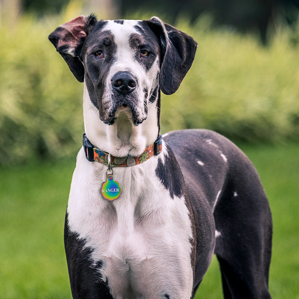 Flower Shape Dog Tag