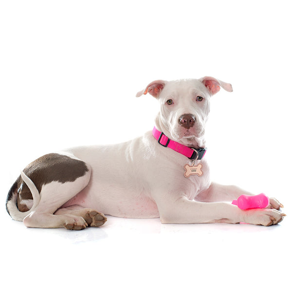 Rose Gold Dog Tag with Crown and Pink Crystals