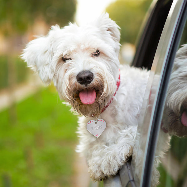 Crystal Heart Shape Dog Tag