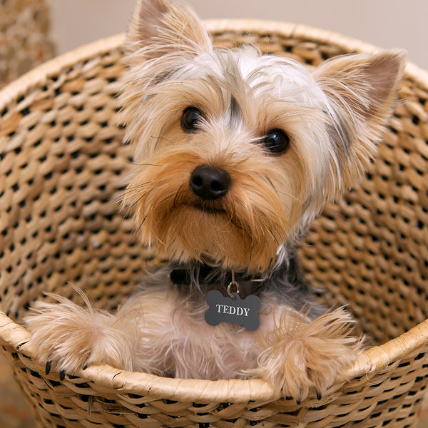 Small Bone Shape Dog Tag with Plated Brass