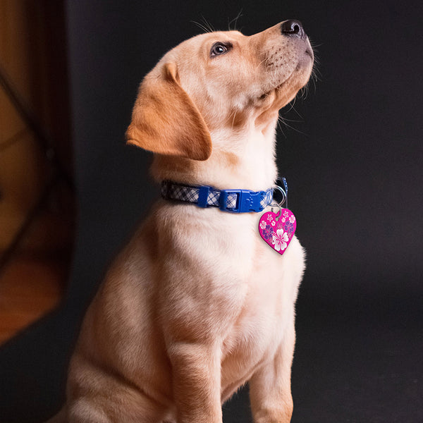 Tropical Dog Tag, Large Heart Shape