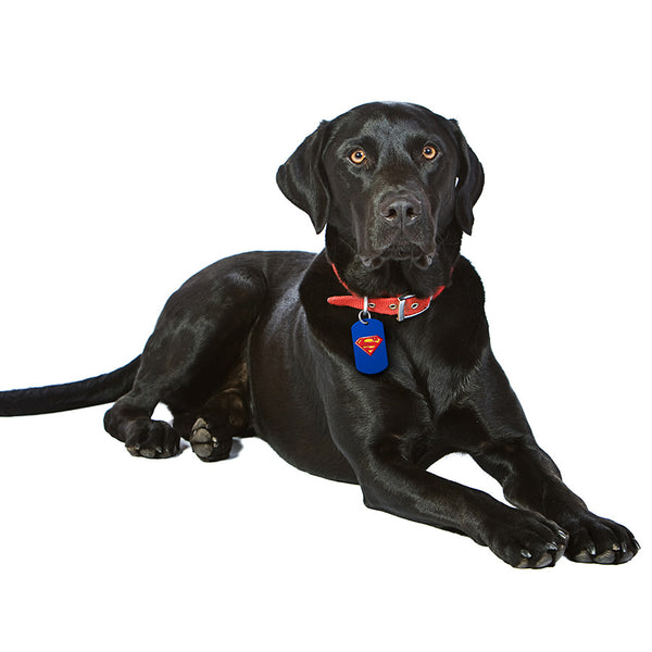 Superman Logo Large Military Pet ID Tag